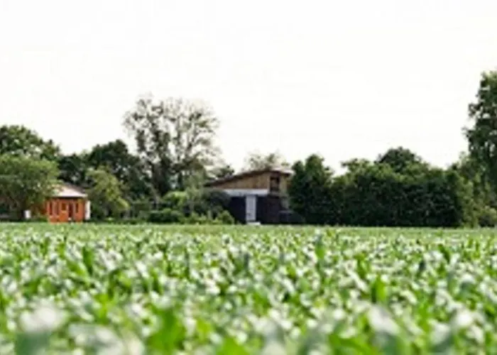 Demeterhof Dünninger